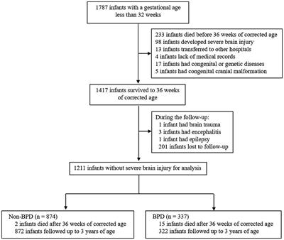 Association between bronchopulmonary dysplasia and death or neurodevelopmental impairment at 3 years in preterm infants without severe brain injury